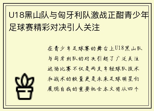 U18黑山队与匈牙利队激战正酣青少年足球赛精彩对决引人关注