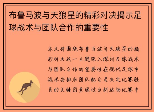 布鲁马波与天狼星的精彩对决揭示足球战术与团队合作的重要性