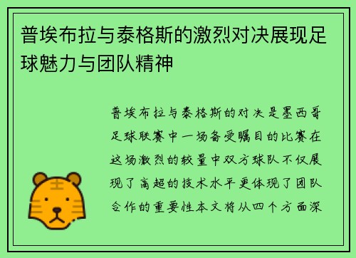 普埃布拉与泰格斯的激烈对决展现足球魅力与团队精神