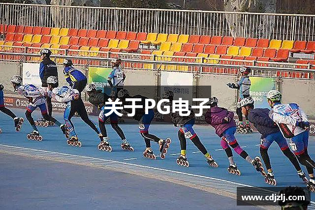 关于PG电子